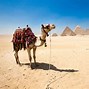 Image result for New Egyptian Discoveries