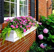 Image result for Open Window Hanging Box Packaging
