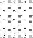 Image result for Centimeters into Inches