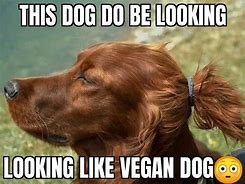 Image result for Vegan Dog Meme