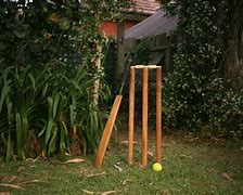 Image result for Back Yard Christmas Cricket