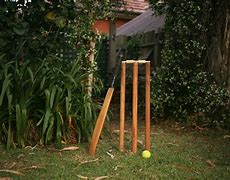 Image result for Barefoot Cricket Back Yard