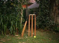 Image result for Back Yard Cricket Game