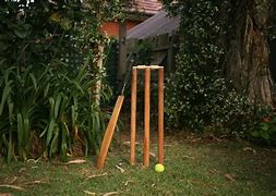 Image result for Backyard Cricket Decorating Ideas