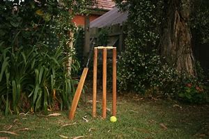 Image result for backyard cricket set