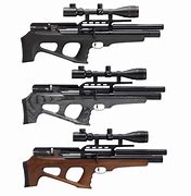 Image result for FX Storm Air Rifle