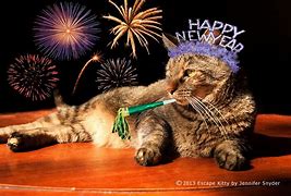 Image result for Happy New Year Kitty