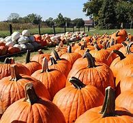 Image result for Lancaster PA Fall