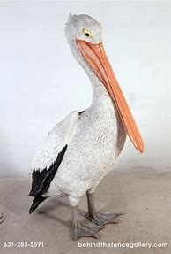 Image result for Pelican Statue