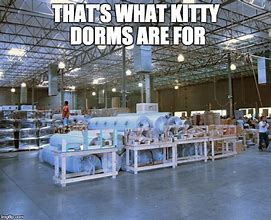 Image result for Room for Cats Meme