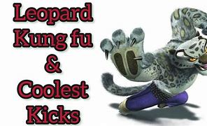 Image result for Animals Doing Kung Fu