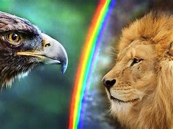 Image result for Lion Mixed with Eagle
