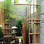 Image result for Small Zen Garden Design Ideas
