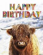 Image result for Highland Cow Happy Birthday