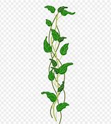 Image result for Growing Vine Clip Art
