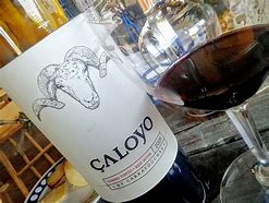 Image result for caloyo