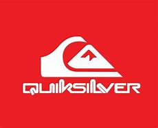 Image result for Quicksilver Logo Women Apparel