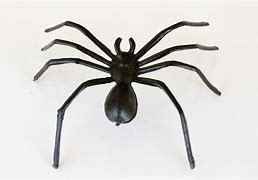 Image result for Rubber Spider L226