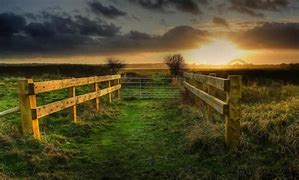 Image result for Country Scenery Wallpapers for Phones