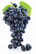 Image result for J5 Grapes