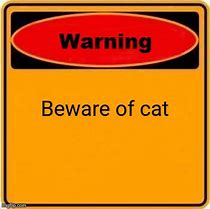 Image result for Beware of the Cat Meme