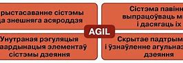 Image result for agilizsci�n