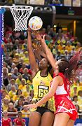 Image result for Netball WD