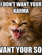 Image result for Ginger Cat Meme