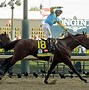 Image result for Triple Crown Senior Horse Feed