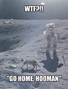 Image result for Moon Cat Meme