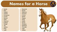 Image result for Boy Horse Names