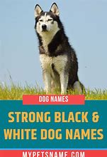 Image result for Black White Dog Speck