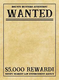 Image result for Trinket Wanted Poster