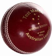 Image result for Cricket