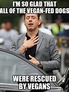 Image result for Robert Downey Jr Dog Meme