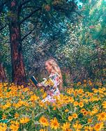 Image result for Creative Outdoor Photography
