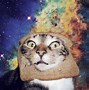 Image result for space cat animated