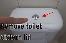 Image result for Concealed Cistern Button Sticking