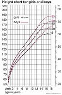 Image result for Human Height Chart