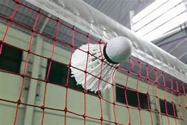 Image result for Let in Badminton