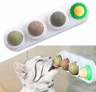 Image result for Catnip for Cats Wall