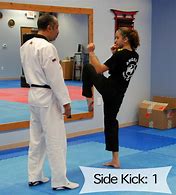Image result for Sidekick Martial Arts