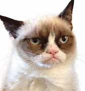 Image result for Grumpy Cat LEGO
