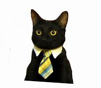 Image result for Business Cat Meme Clear Template
