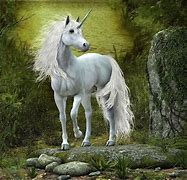 Image result for Real Pretty Unicorns