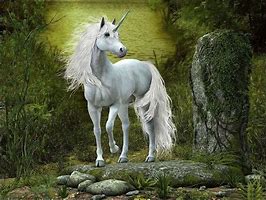 Image result for Show Me a Picture of a Real Unicorn