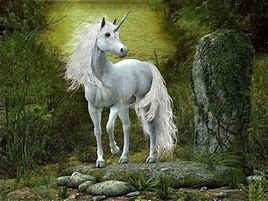 Image result for Magical Unicorns Real