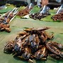 Image result for Thailand Exotic Food Market