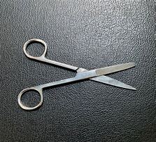 Image result for Blunt Point Scissors