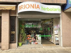 Image result for brionia